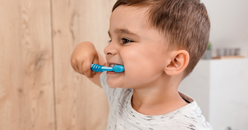 Hygiène bucco-dentaire Cabinet d’orthodontie du Dr Matthieu Soto à Miramas